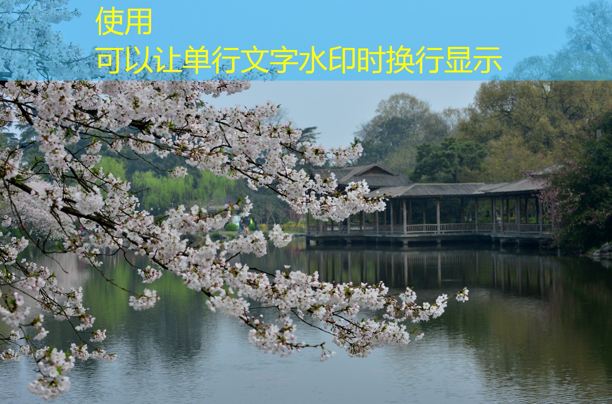 不同類型紅外報(bào)警器的特點(diǎn)比較