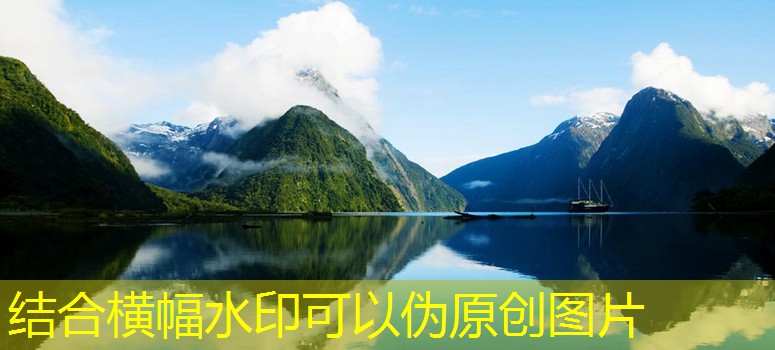停車道閘與車輛管理系統(tǒng)的結合