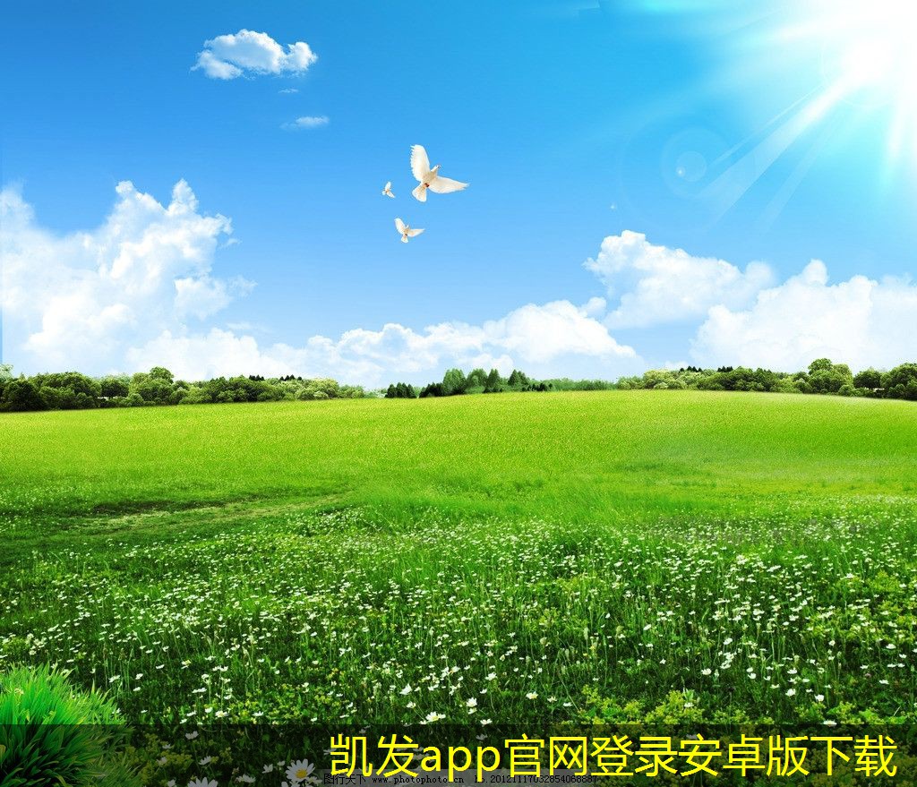 停車道閘市場(chǎng)的競(jìng)爭(zhēng)分析