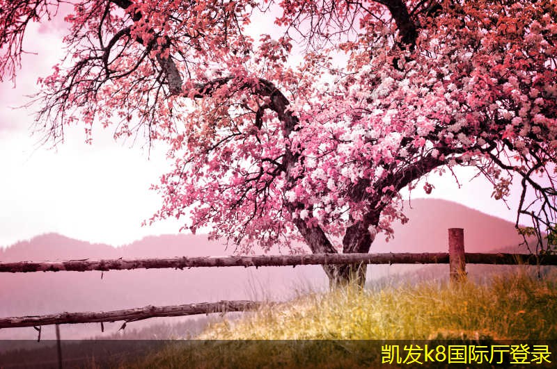 停車道閘的國際市場(chǎng)發(fā)展現(xiàn)狀